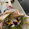 salim_62611
