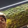 seano_75720