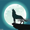kreyzwolf