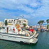 salo_69013