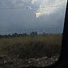 luciana_95686