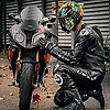 spider_12537