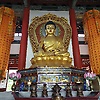 vinay_21287
