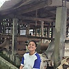 almanda_42895