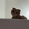 riuuuichi_59004