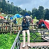 anfilla_49960
