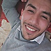 basset_72145