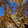 alimalim_87939