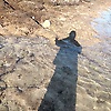amorfati_75643