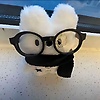 shan_37294