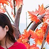 user_314695