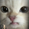 christine_26697