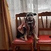 carolina_35512