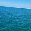 daniel_23262