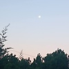 lspjeojs_25670