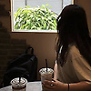 eyda_13531
