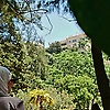 nn_64896