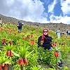 aysel_50349