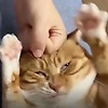 alex_46566