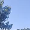 lollo06