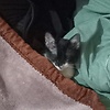 maik_13909