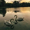 akmaljonaz_68218