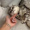 csultanli_16072