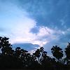 mdsahila