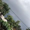 endosanyan_94930
