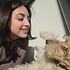 betl_37607