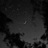 Zela_7887