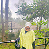 hensa_53838