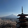 kaleeb_74772