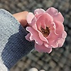 leyla_39426