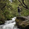 pat_13944
