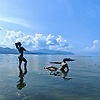 liu_42082