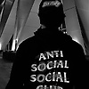pato_13859