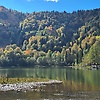malik_52265