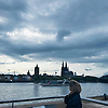 rose_47604