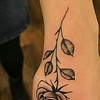 kim_90220