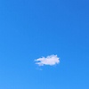 josh_64583