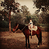 tino_53923