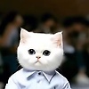 aliyan_73982