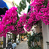 firat_63959