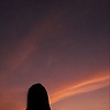 al3164167g_65186