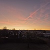 Martin_GER