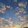user_767950