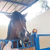 rajae_30113