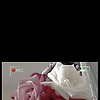 seoecem_78611