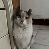 xin_81324